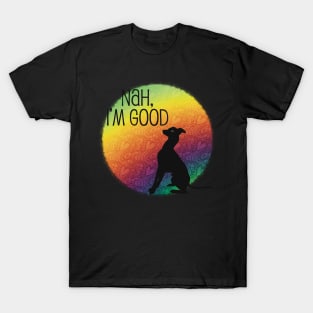 Nah, I’m good T-Shirt